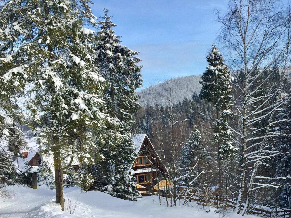 Winterfell Korbielow - Dom Z Basenem Sezonowym Lipiec-Sierpien Εξωτερικό φωτογραφία